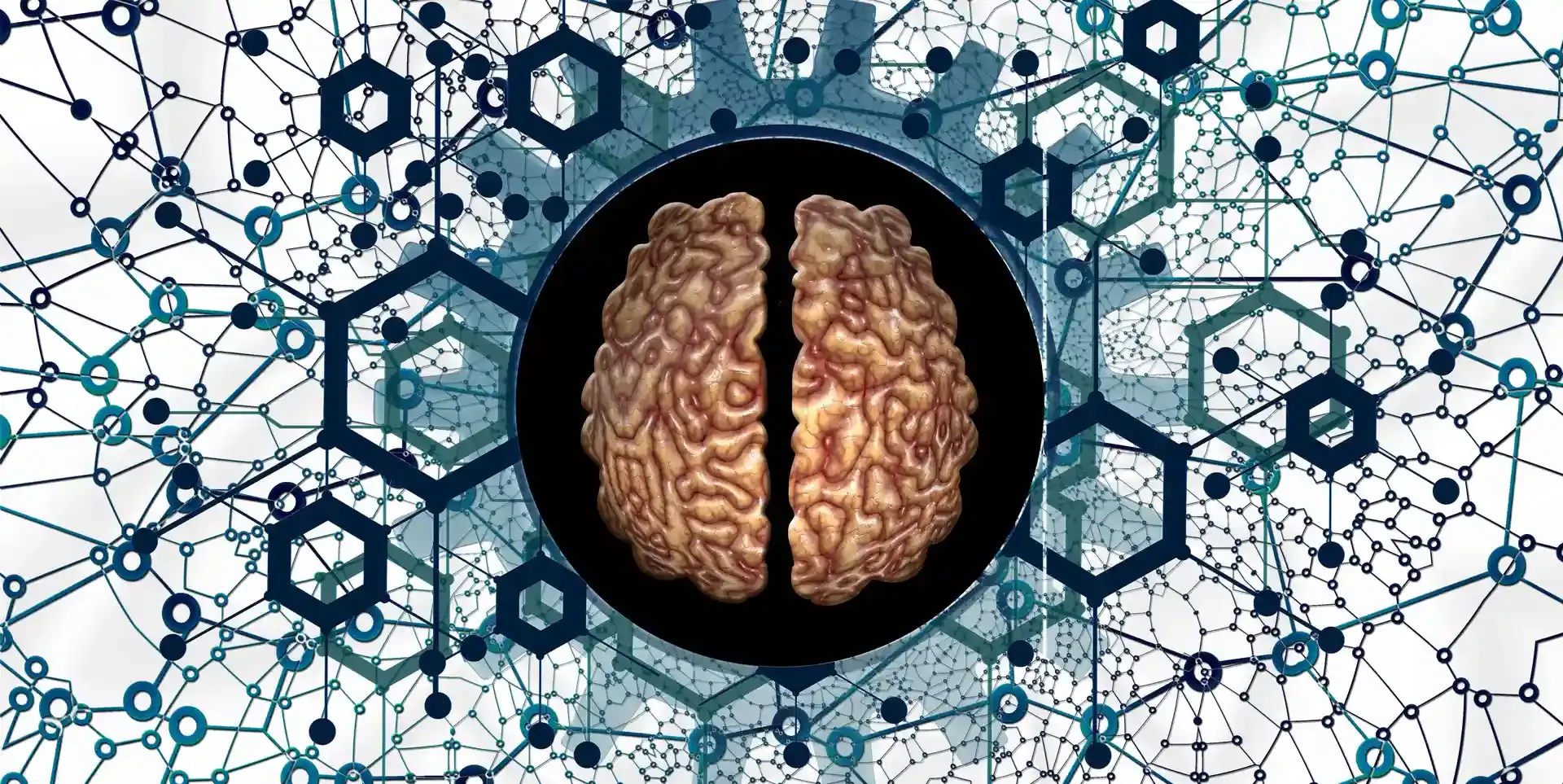 Brain Computer Interfaces