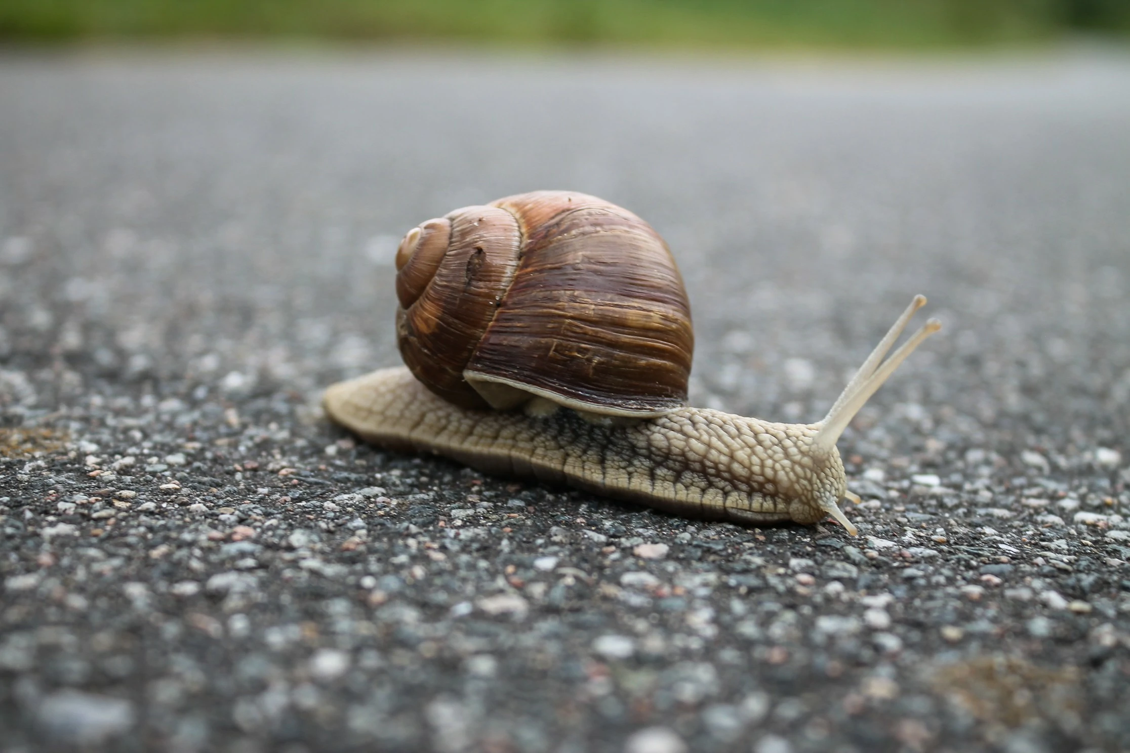 slow